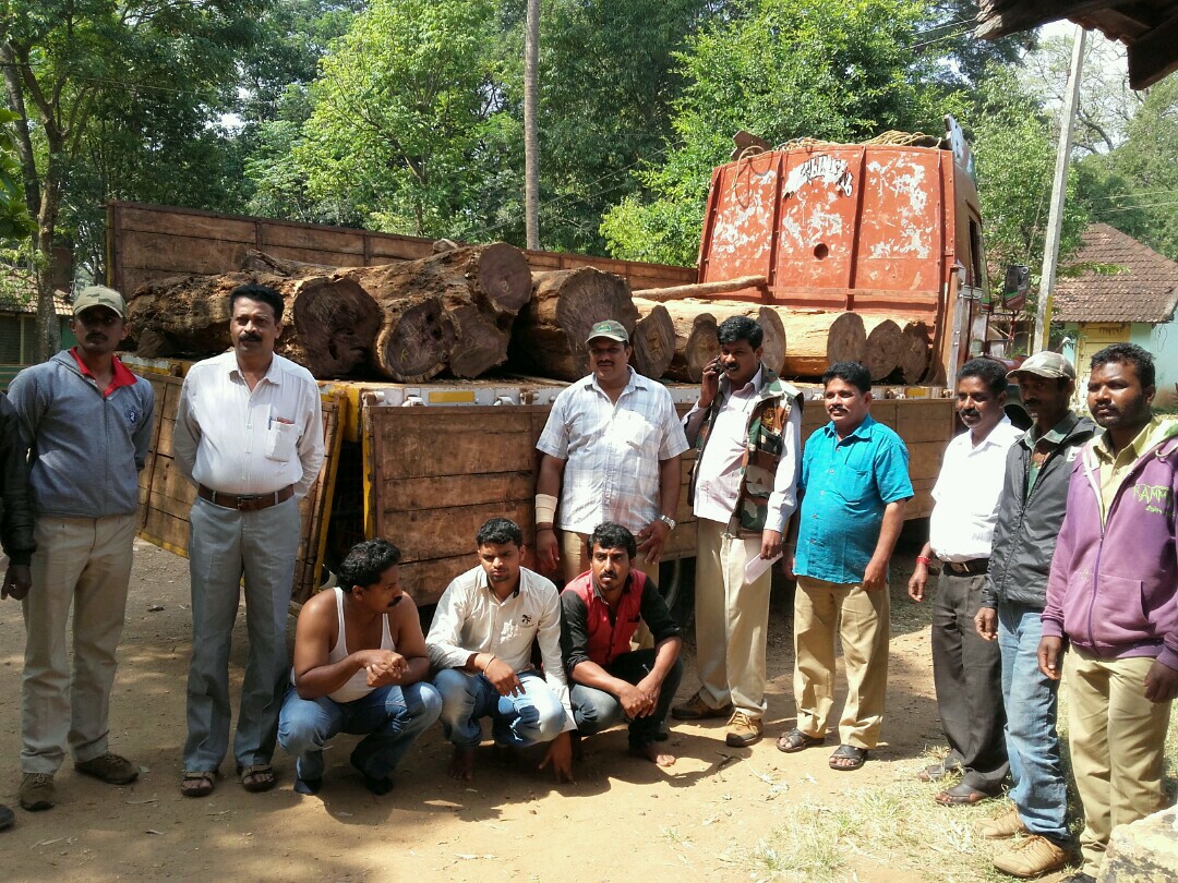 ಅಕ್ರಮ ಬೀಟೆ ಮರದ ನಾಟಾ ಪತ್ತೆ: ಆರೋಪಿಗಳು ವಶಕ್ಕೆ